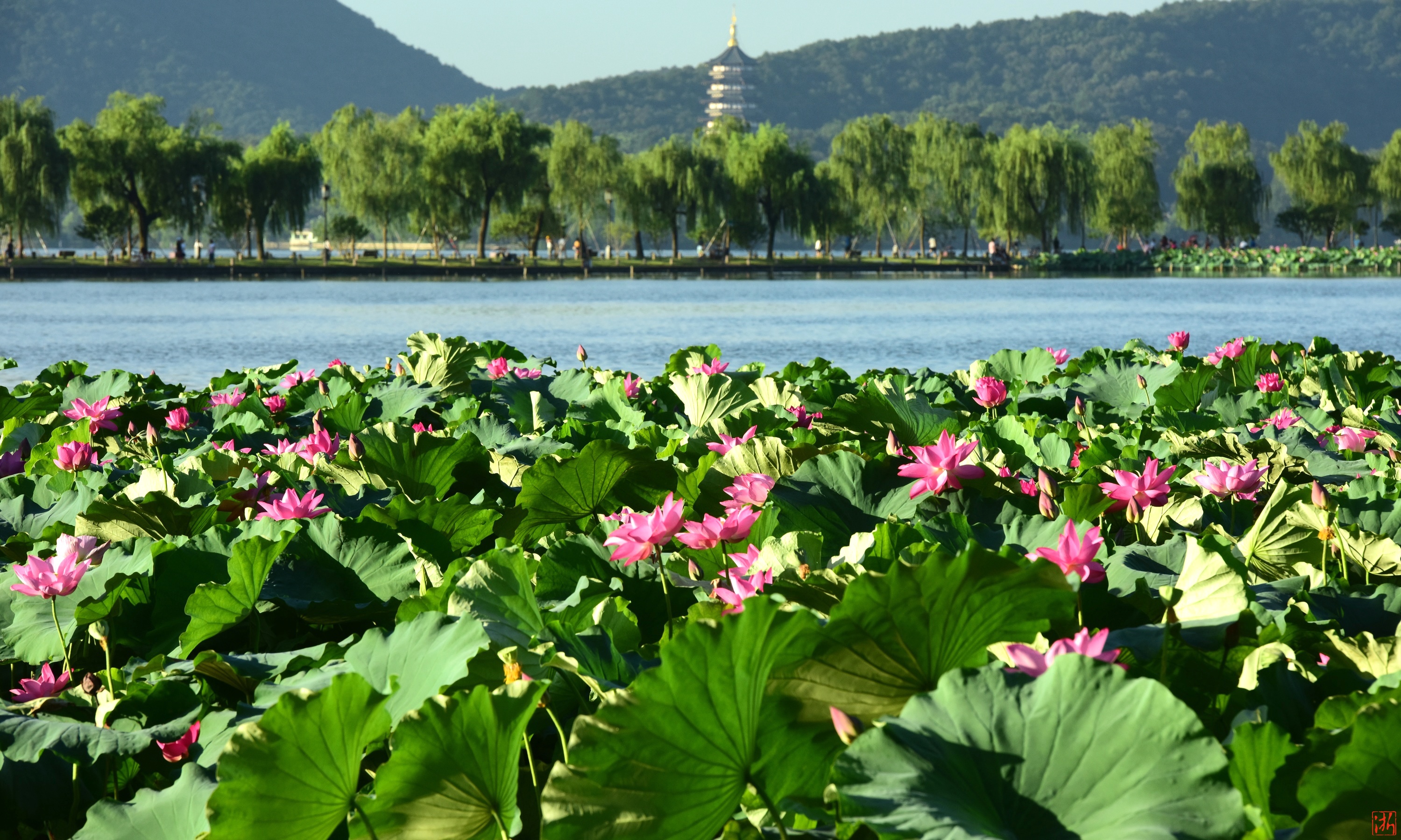 杭州西湖、西溪湿地、锦绣风水洞、3D灯光秀2日游